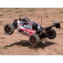 RADIOSISTEMI HPI Trophi Automodello Buggy 3.5cc 2.4G RTR