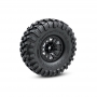 Traxxas TRX4 Kit di Montaggio Telaio Clipless